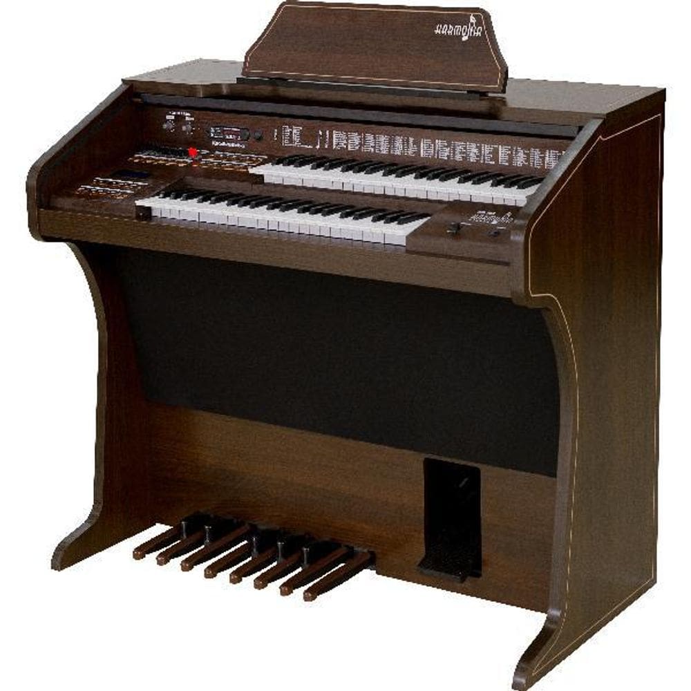 Órgão Eletrônico Harmonia Hs300 Tabaco