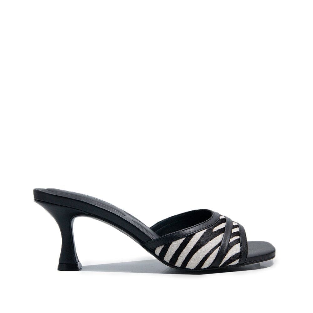 Tamanco Loucos E Santos Zebra