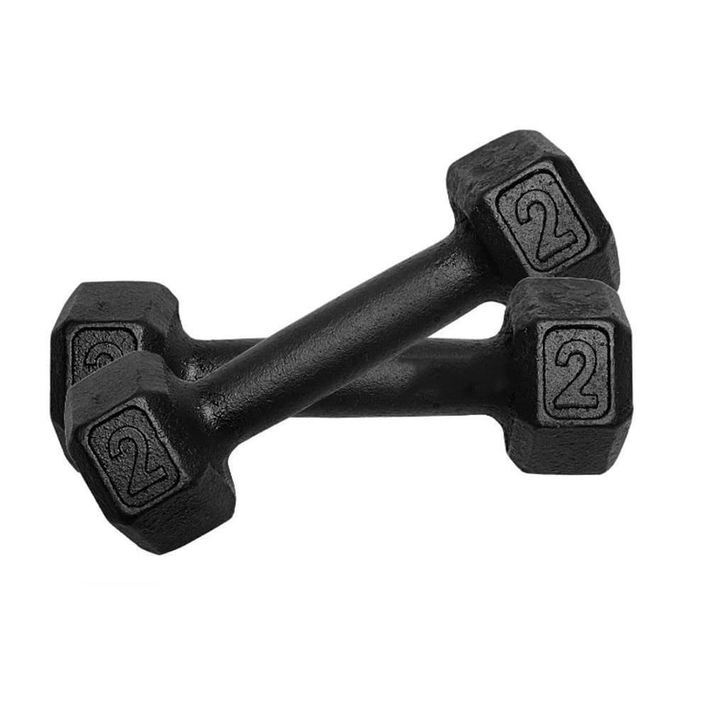 Kit 2 Halter Sextavado Pintado 2Kg Academia Treino Ferro