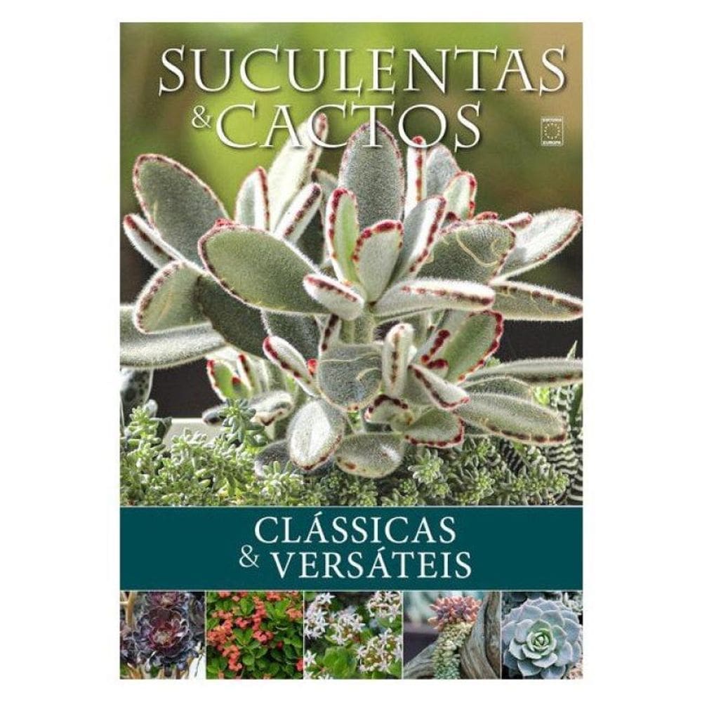 Suculentas E Cactos: Clássicas E Versáteis
