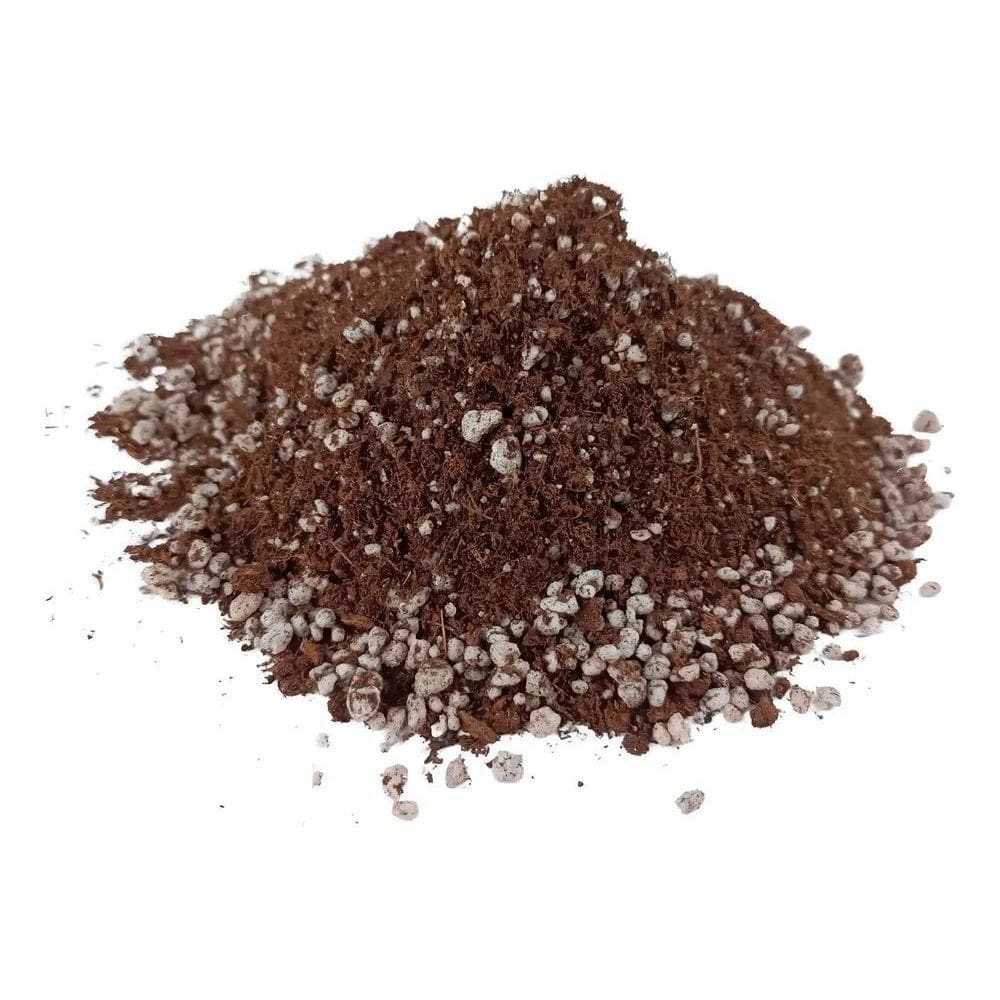 2X Substrato Para Cultivo Indoor Turfa E Perlita 10 Litros G