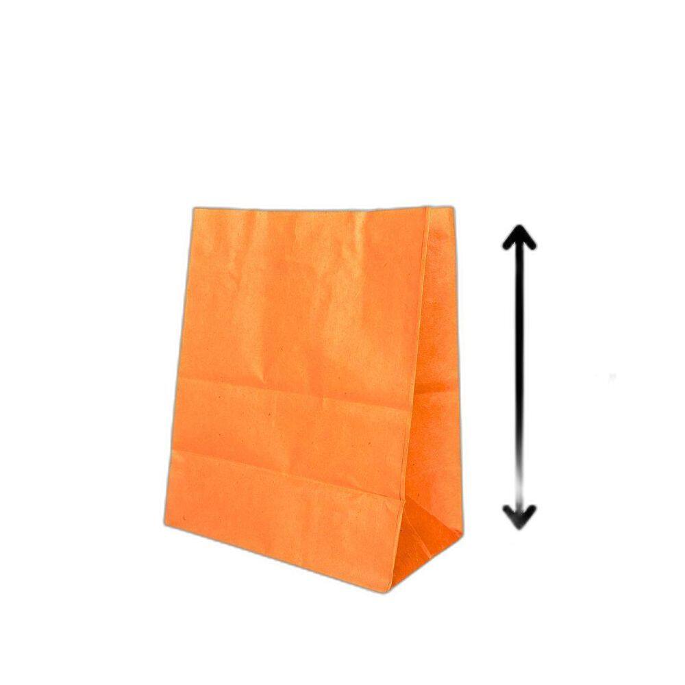 10 Sacola De Papel Kraft Presente Colorida 13,5X8X16Cm