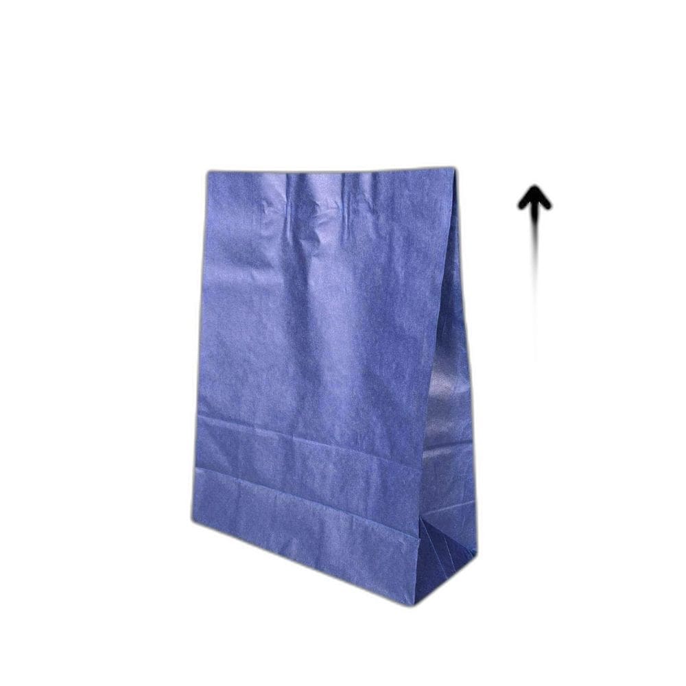 10 Sacola De Papel Kraft Presente Colorida 23,5X10X31,5Cm