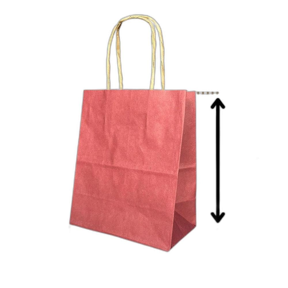 10 Sacola De Papel Kraft Presente Colorida 13,5X8X16Cm