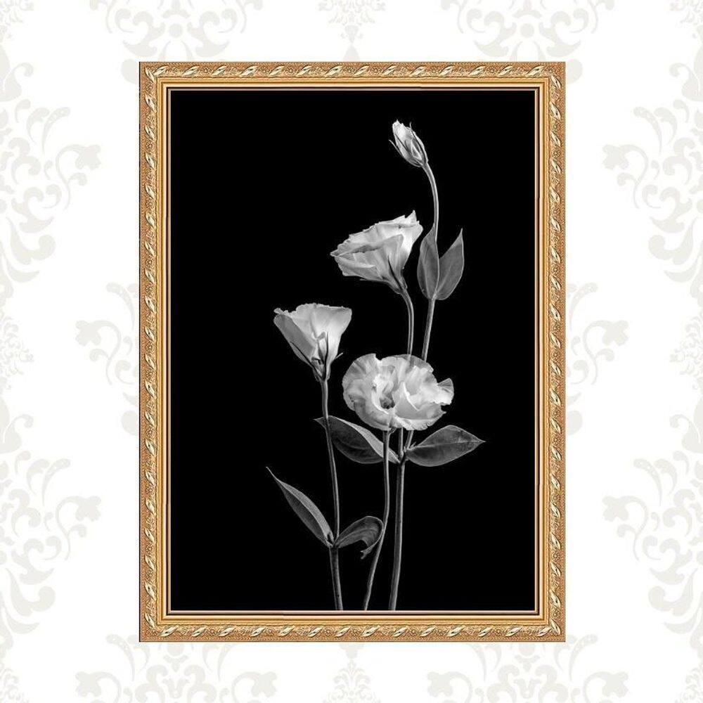 Quadro Moldura Dourada Flores Brancas Fundo Preto 33X24Cm