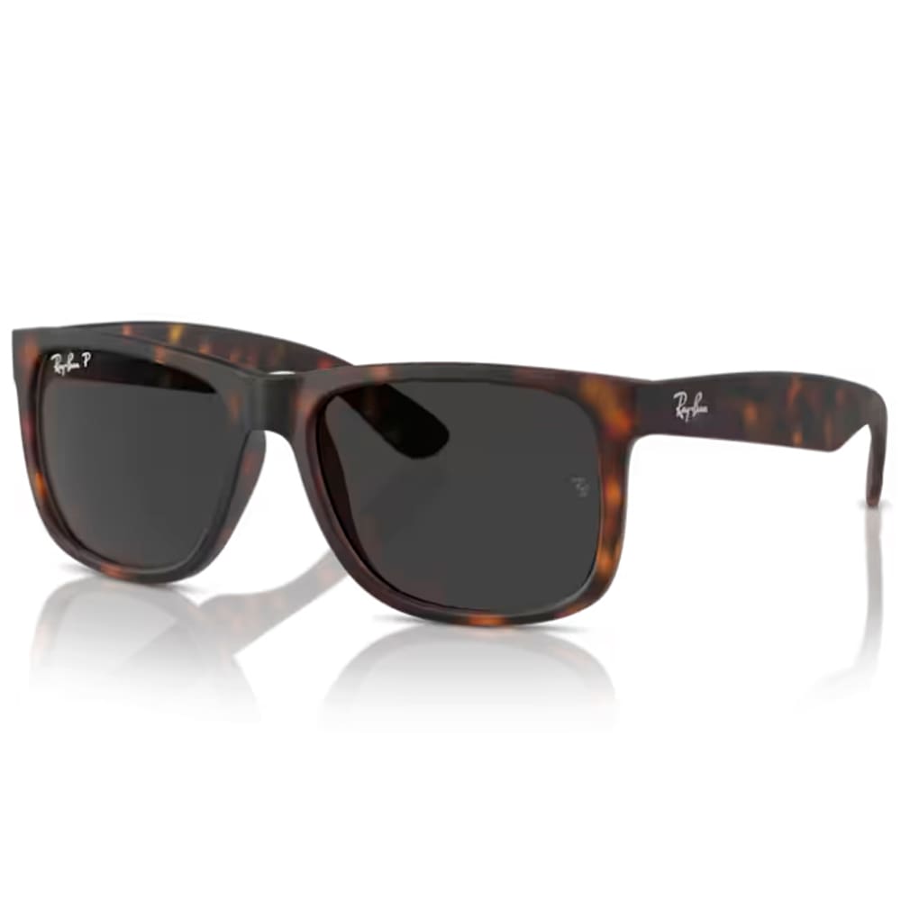 Oculos Solar Ray-Ban Rb4165 865/8755