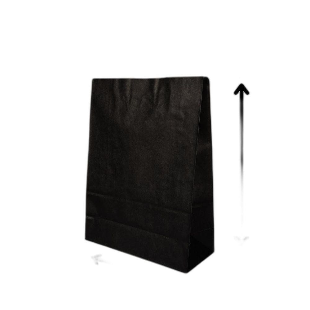 10 Sacola De Papel Kraft Presente Colorida 23,5X10X31,5Cm