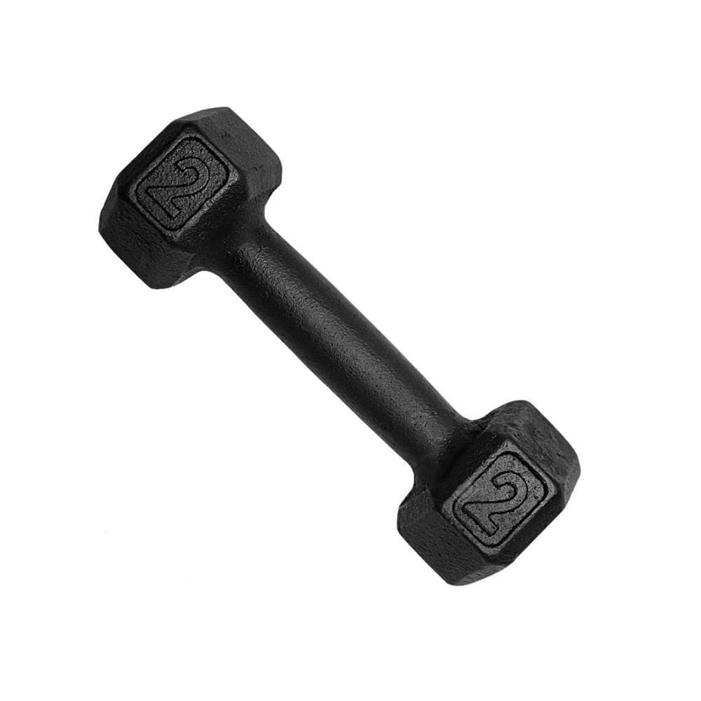 Halter Sextavado Dumbell Pintado 2Kg Academia Treino Ferro