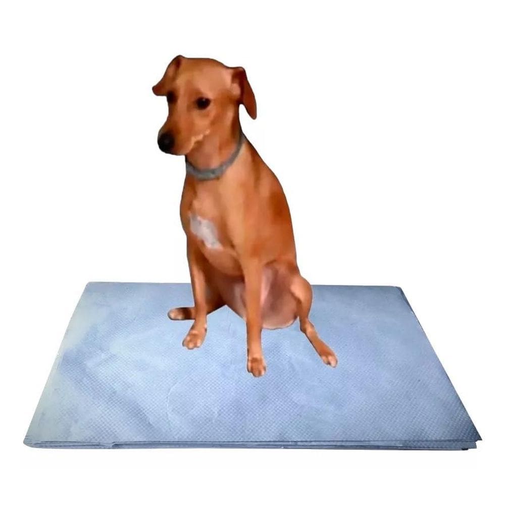 Papel Jornal Pipidog Limpo P/Necessidade Pacote 50X60Cm 100U
