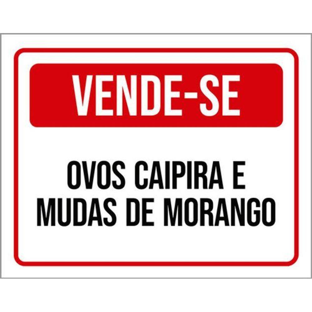 Kit 3 Placas Vende-Se Ovos Caipira Mudas Morango