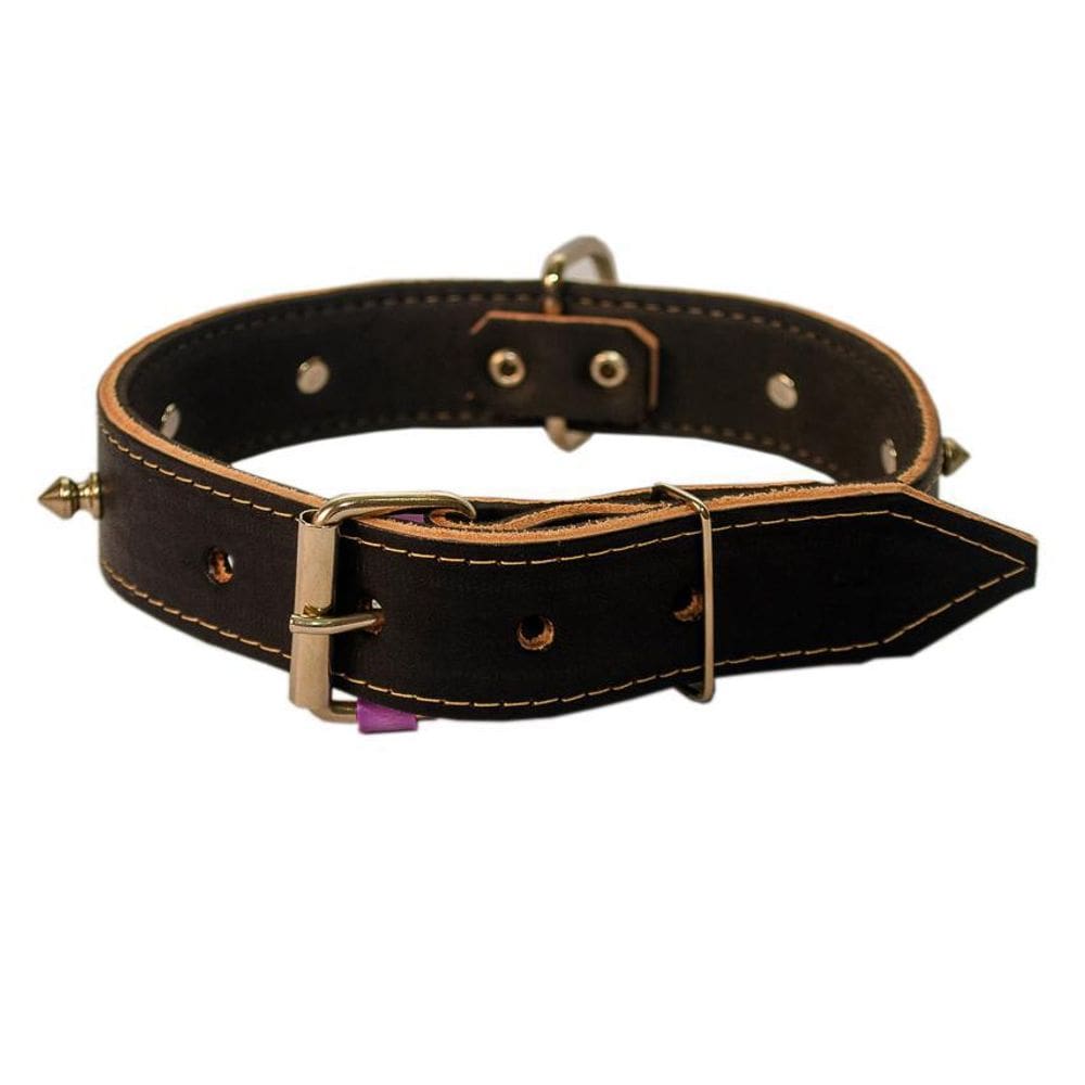 Coleira De Couro Pit Bull Tamanho 8 Linha Luxo