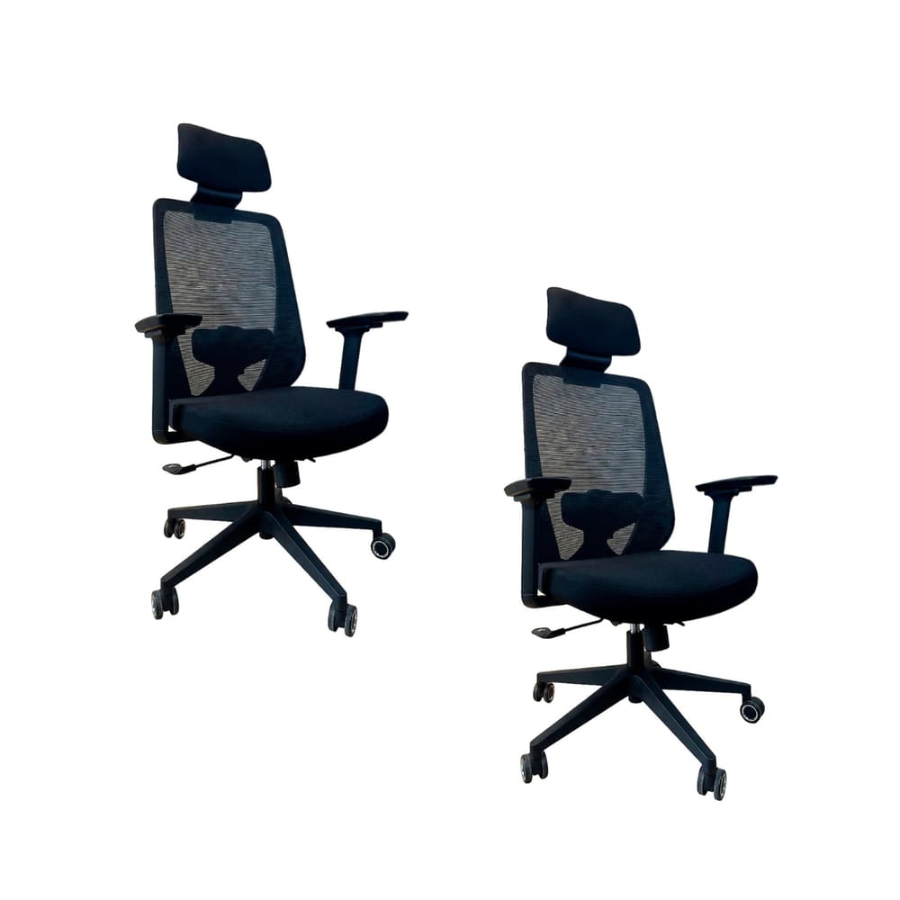 Kit 2 Cadeiras de Escritório Oficial Comfort Max NR17