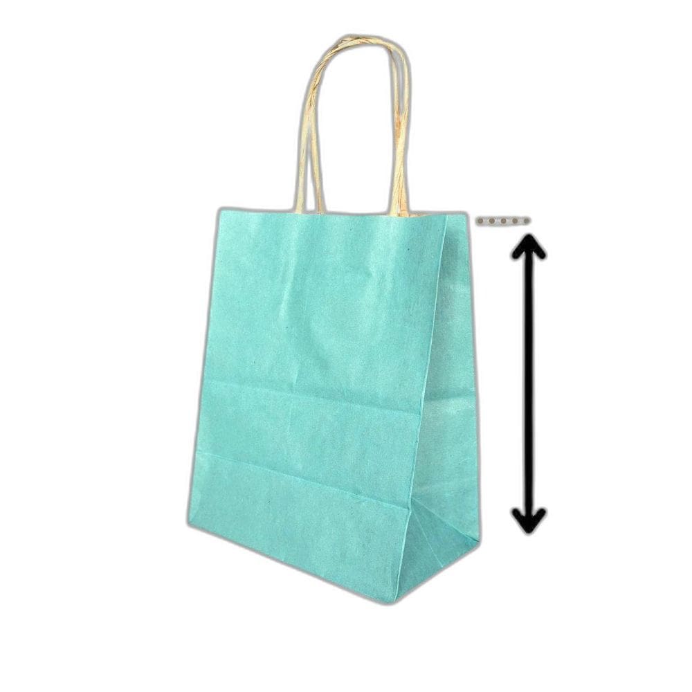 10 Sacola De Papel Kraft Presente Colorida 13,5X8X16Cm