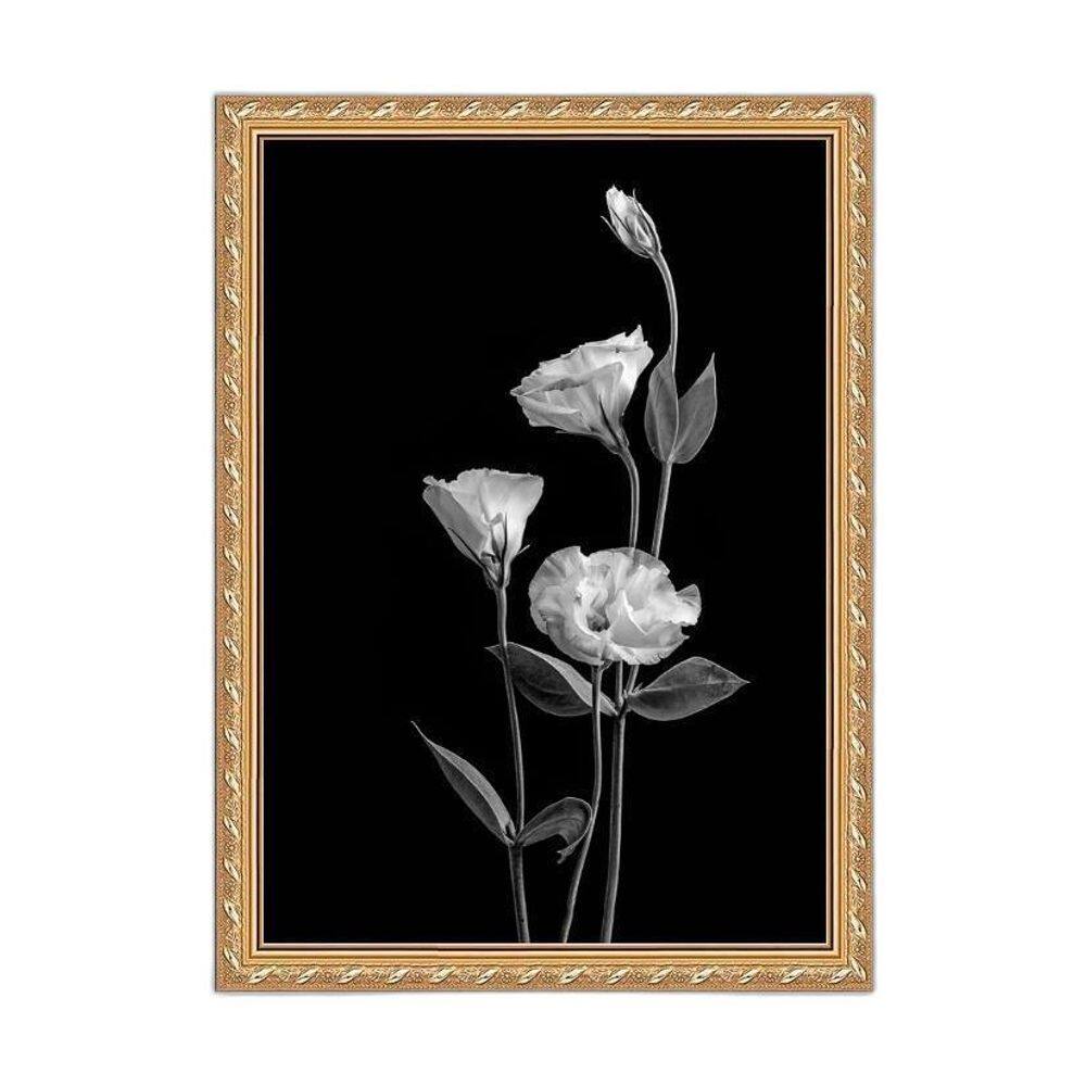 Quadro Moldura Dourada Flores Brancas Fundo Preto 33X24Cm