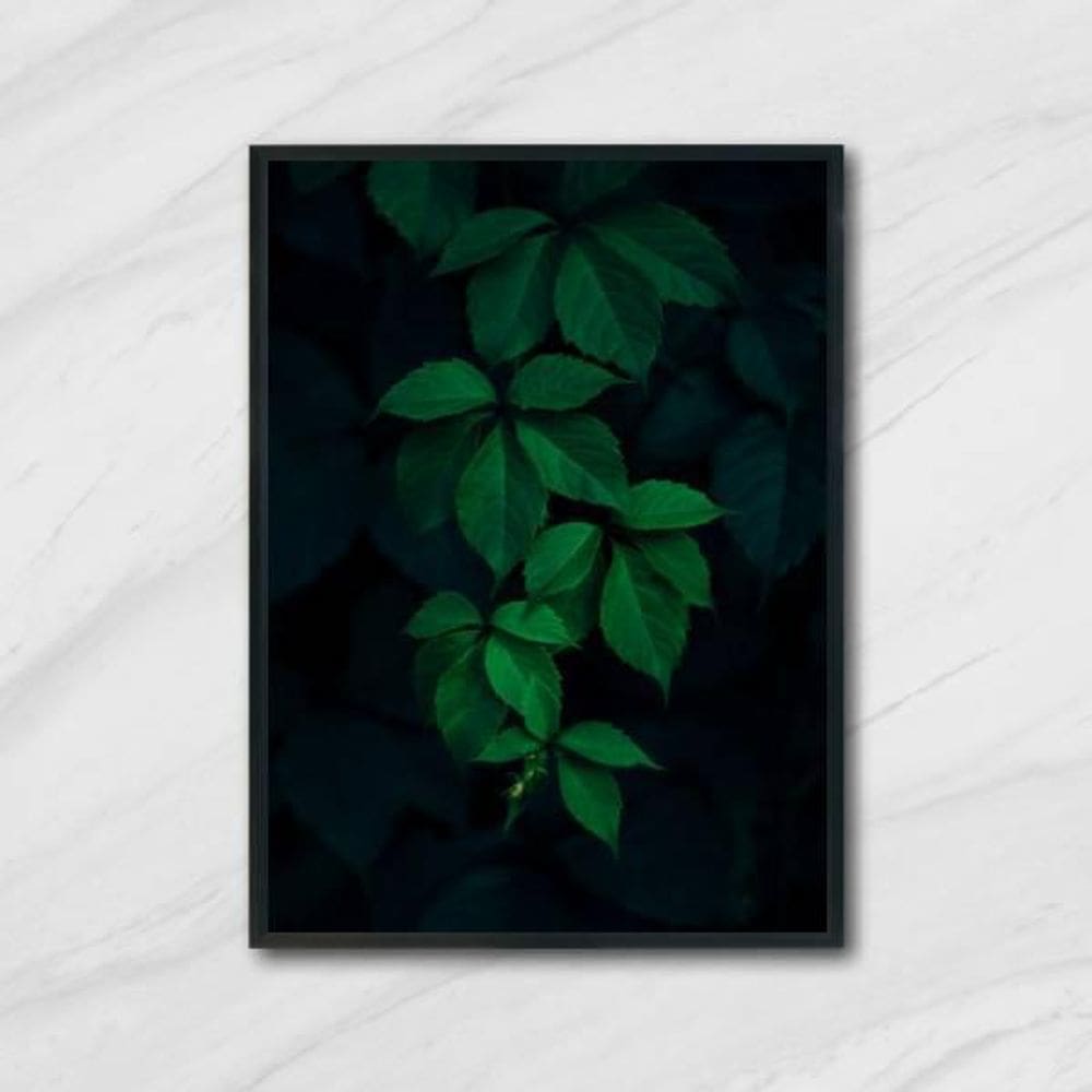 Quadro Decorativo Foto Folhagem 45X34Cm