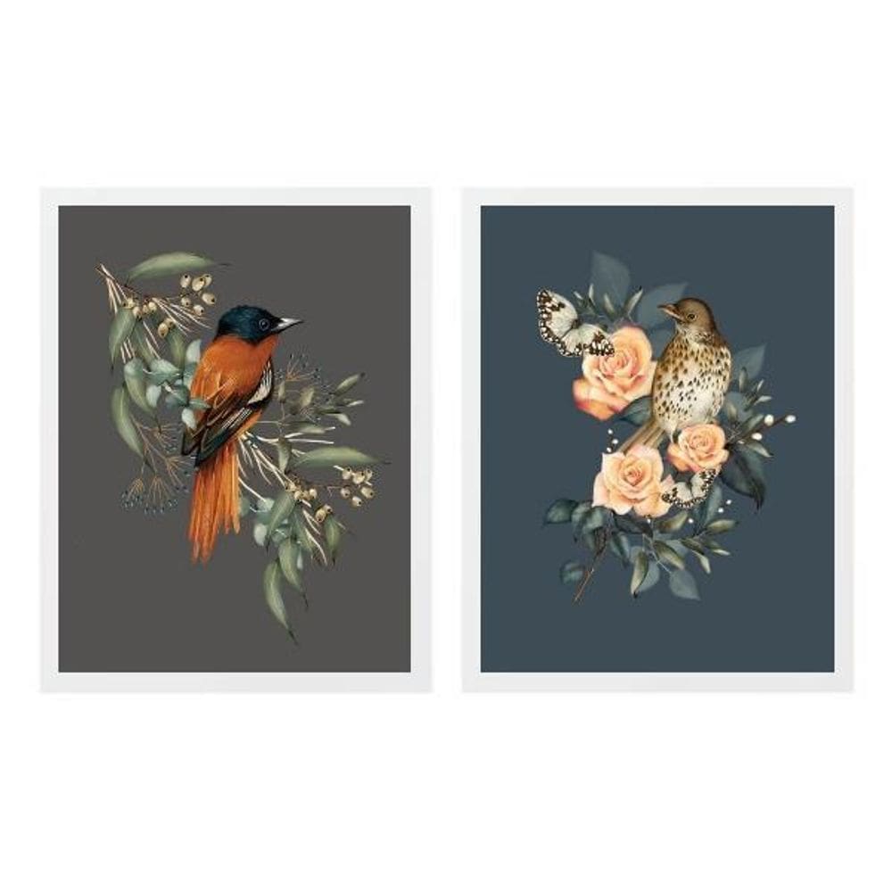 Kit 2 Quadros Passarinhos Clássicos 24X18Cm - Com Vidro