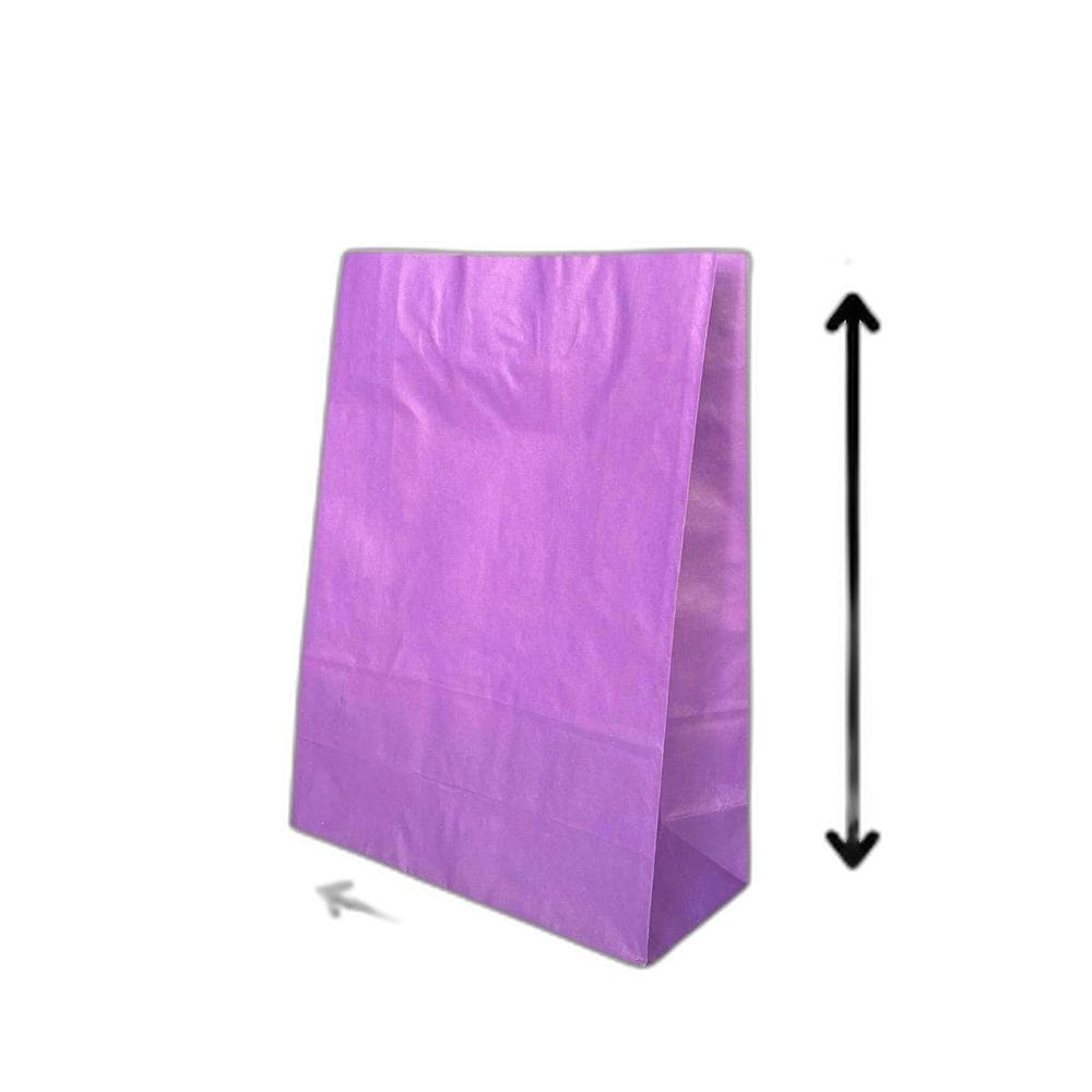 10 Sacola De Papel Kraft Presente Colorida 23,5X10X31,5Cm