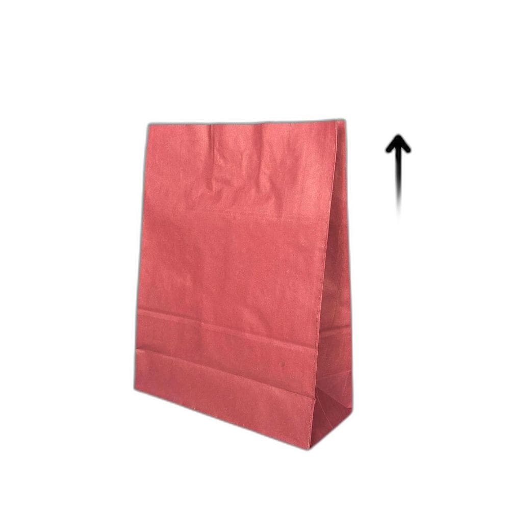 10 Sacola De Papel Kraft Presente Colorida 23,5X10X31,5Cm