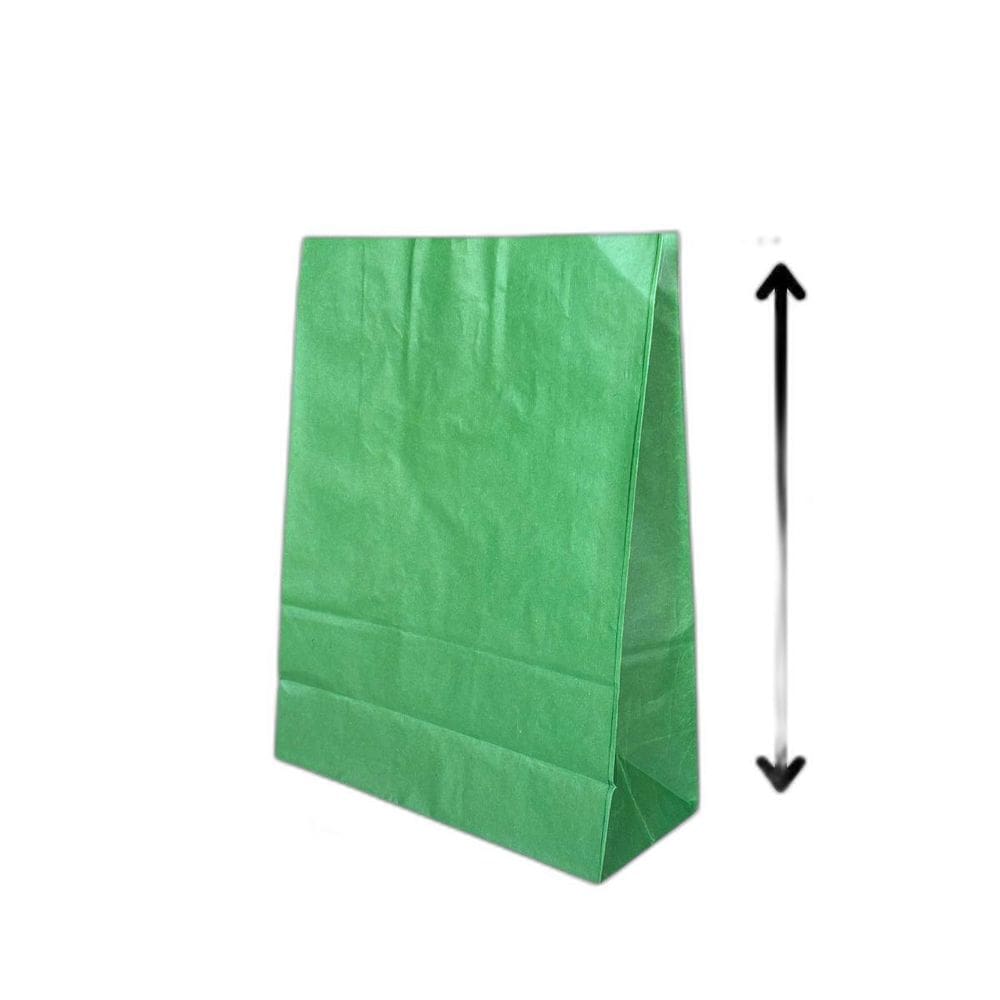 10 Sacola De Papel Kraft Presente Colorida 23,5X10X31,5Cm