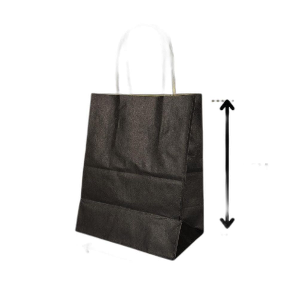 10 Sacola De Papel Kraft Presente Colorida 13,5X8X16Cm