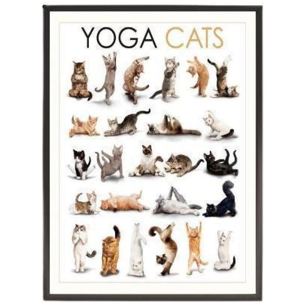 Quadro Decorativo Yoga Cats 24X18 Com Vidro - Madeira Preta