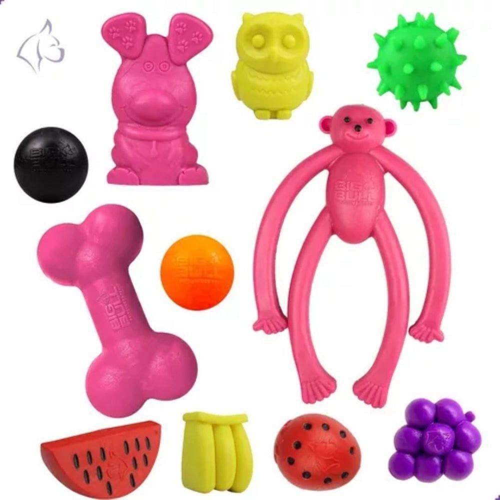 Brinquedo Borracha Pet Cães Destruidores Raças Pequenas 10Un