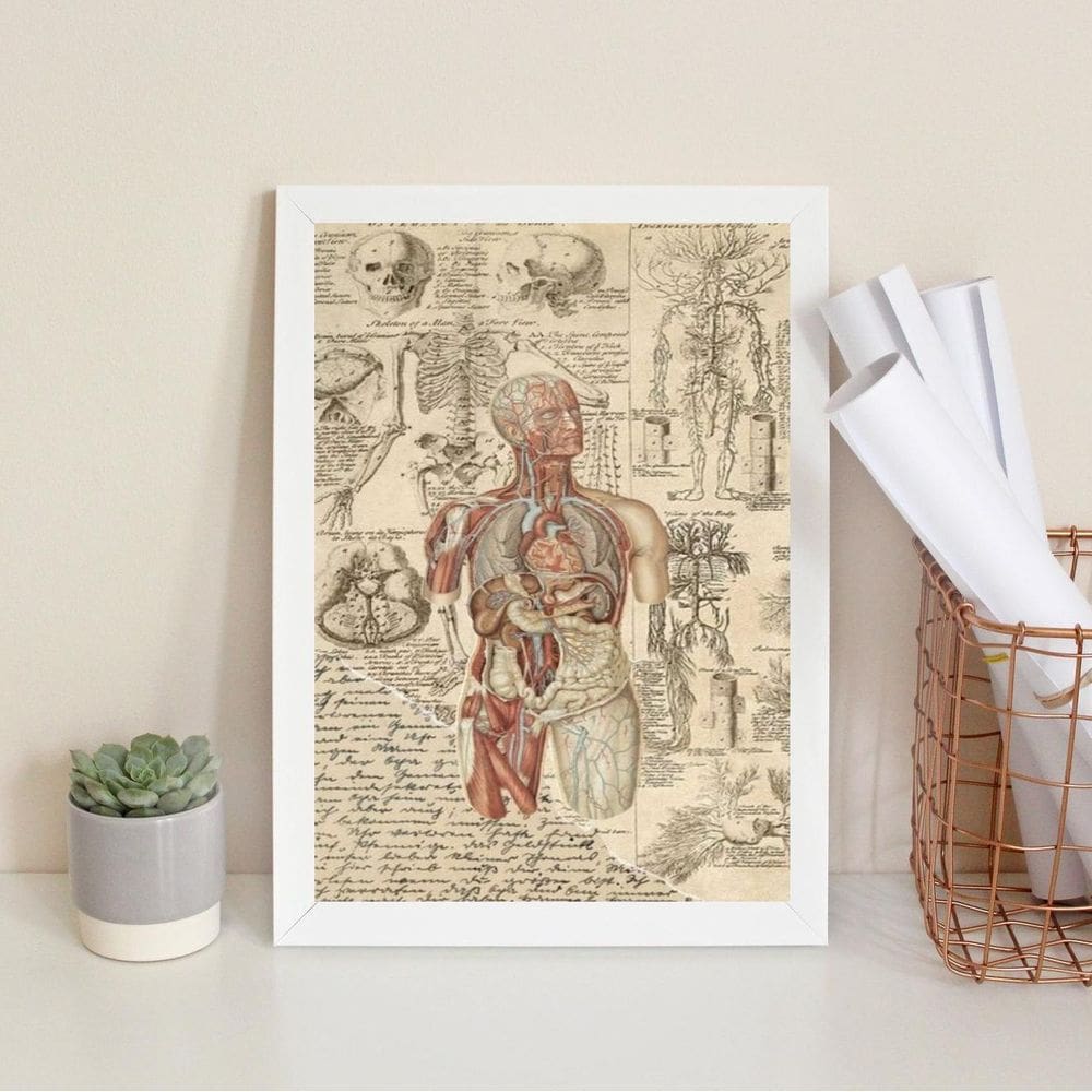 Quadro Decorativo Órgãos Corpo Humano Vintage 45X34Cm