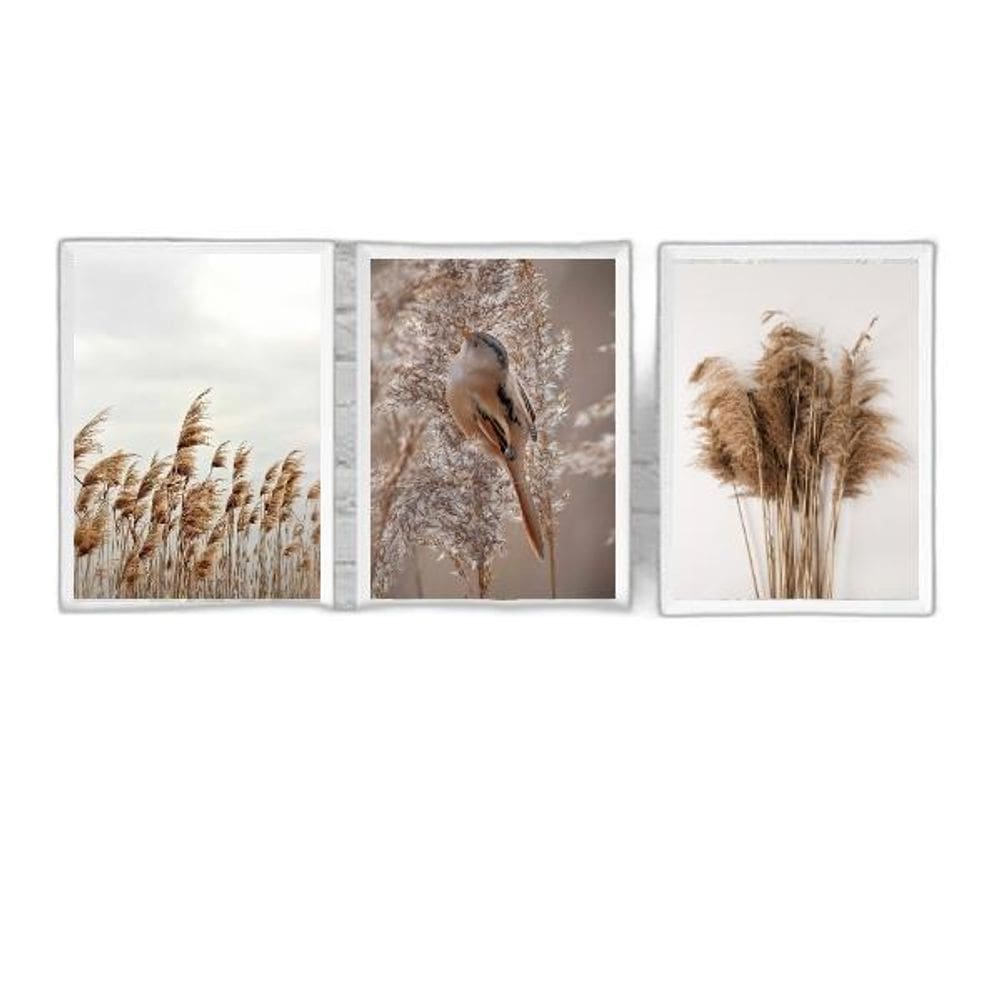 Kit 3 Quadros Capim Dos Pampas E Passarinho 45X34Cm - Vidro