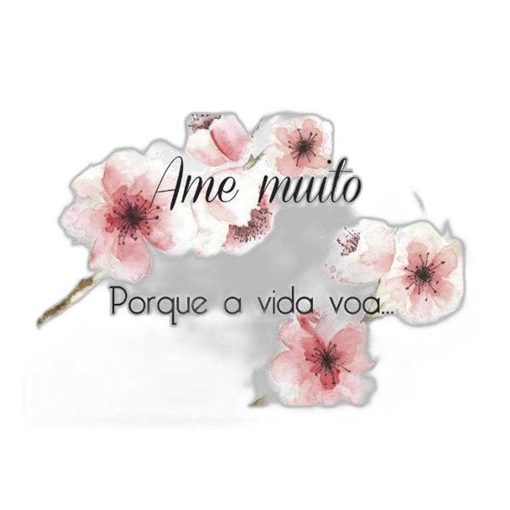 Quadro Ame Muito Porque A Vida Voa 24X18Cm