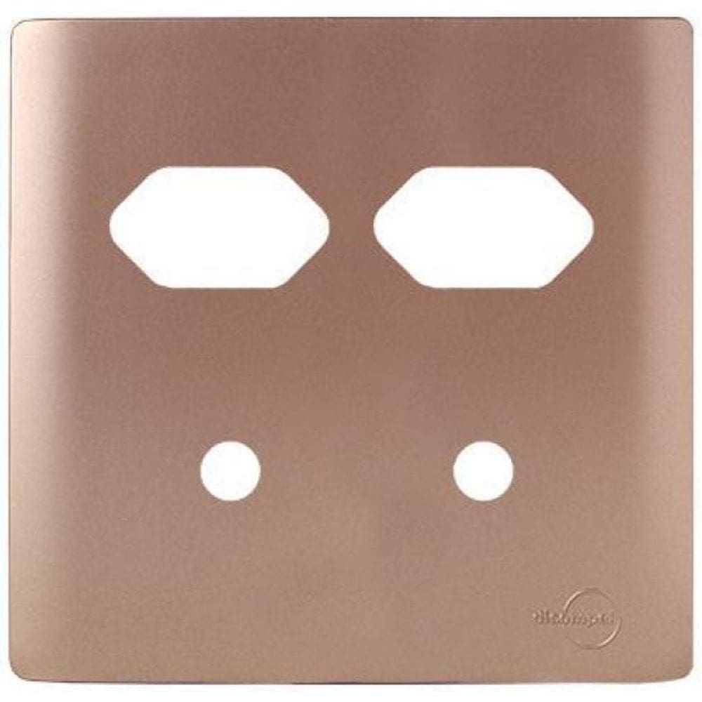 Placa 2 Tomadas + 2 Furo Com Suporte 4X4 -Novara Ouro Rose