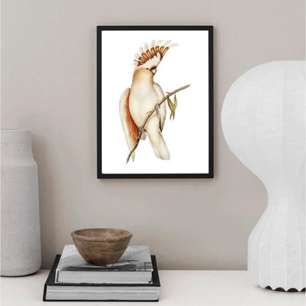 Quadro Decorativo Passarinho Cacatua 24X18Cm - Com Vidro