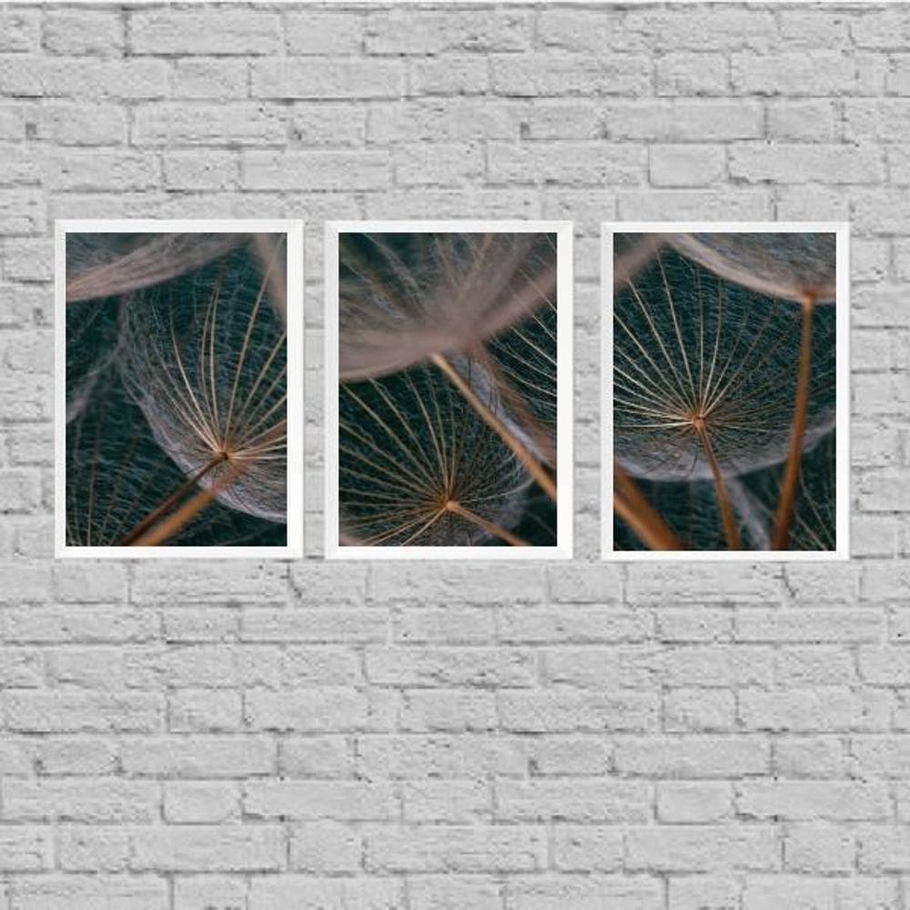 Kit 3 Quadros Flor Dente De Leão 24X18Cm - Madeira Branca