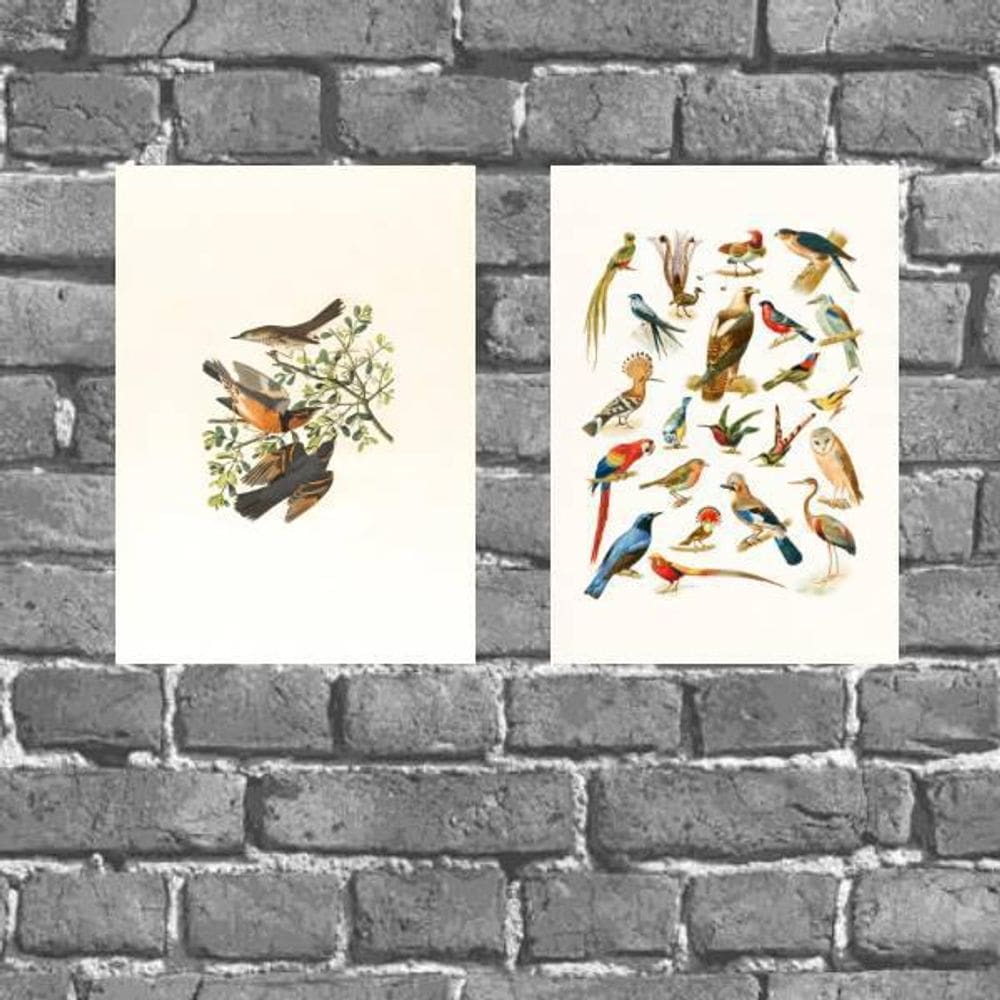 Kit 2 Placas Decorativas Pássaros 18X27Cm