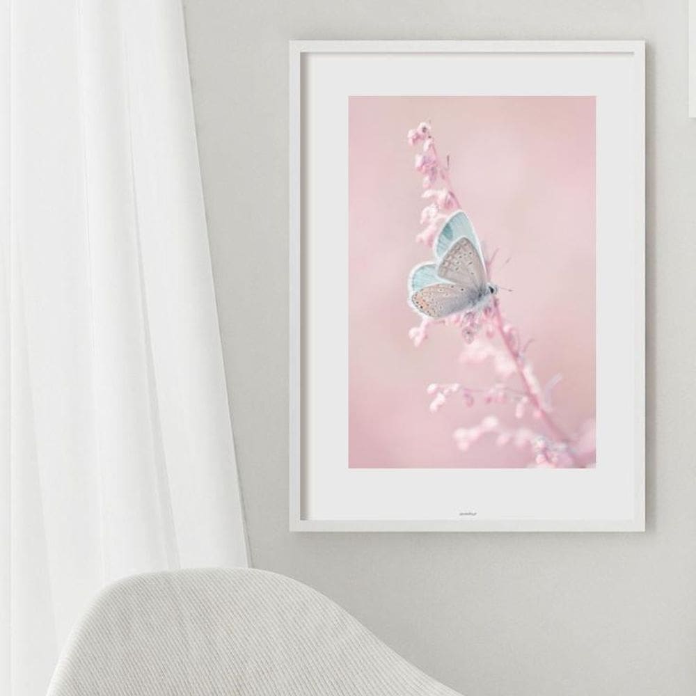 Quadro Borboleta Azul E Rosa - 60X48Cm