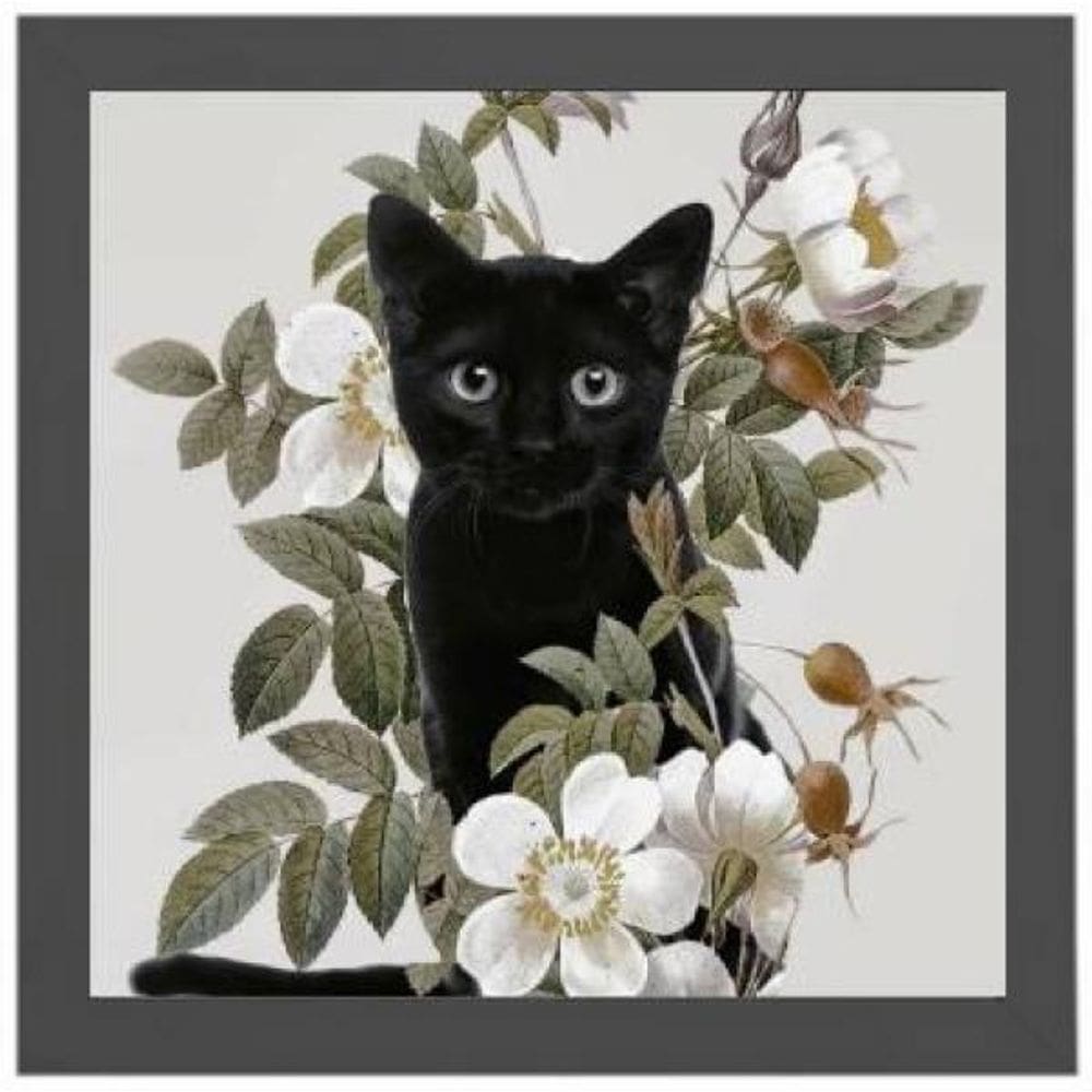 Quadro Gato Preto Com Flores 20X20Cm