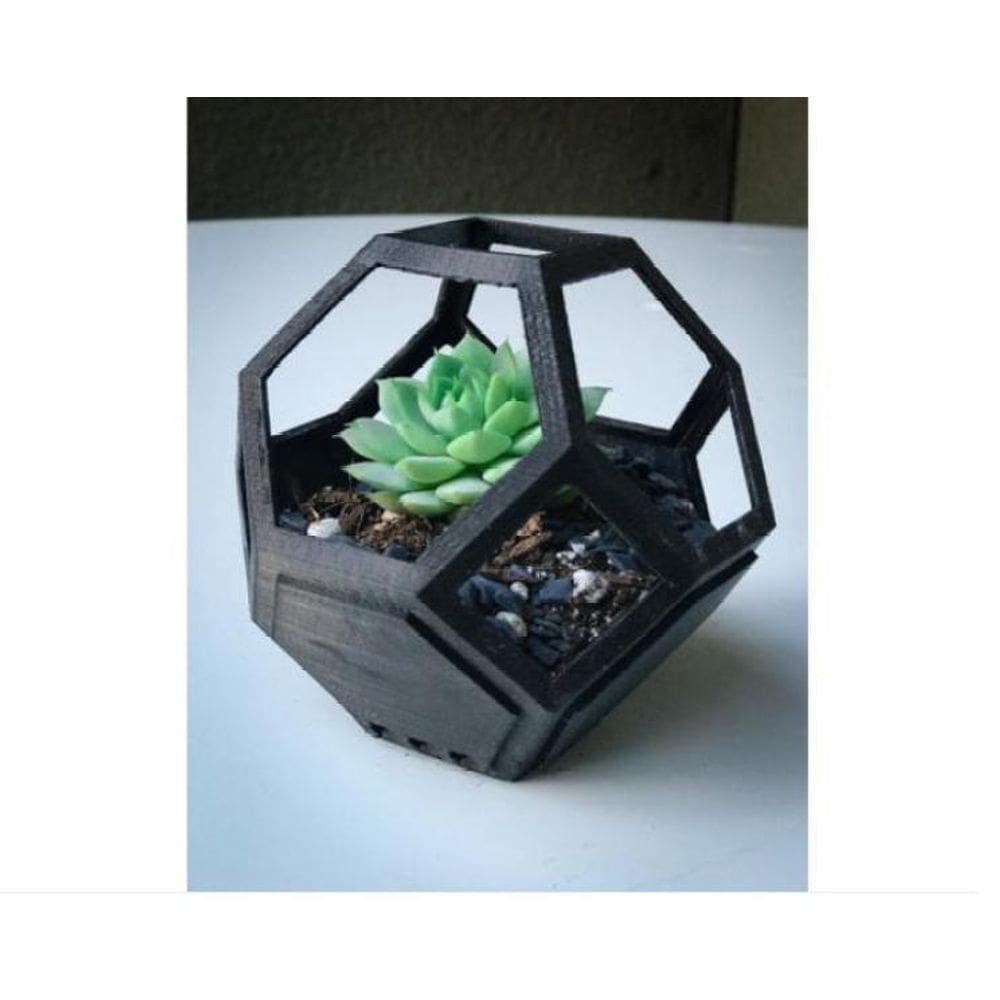 Kit 3 Vasinhos Suculenta Geométrico Muito Legal