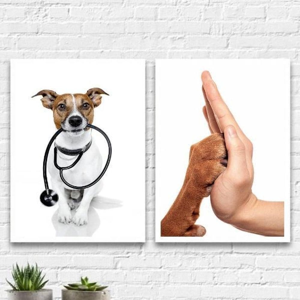 Kit 2 Quadros Consultório Veterinário 45X34 Com Vidro Branca