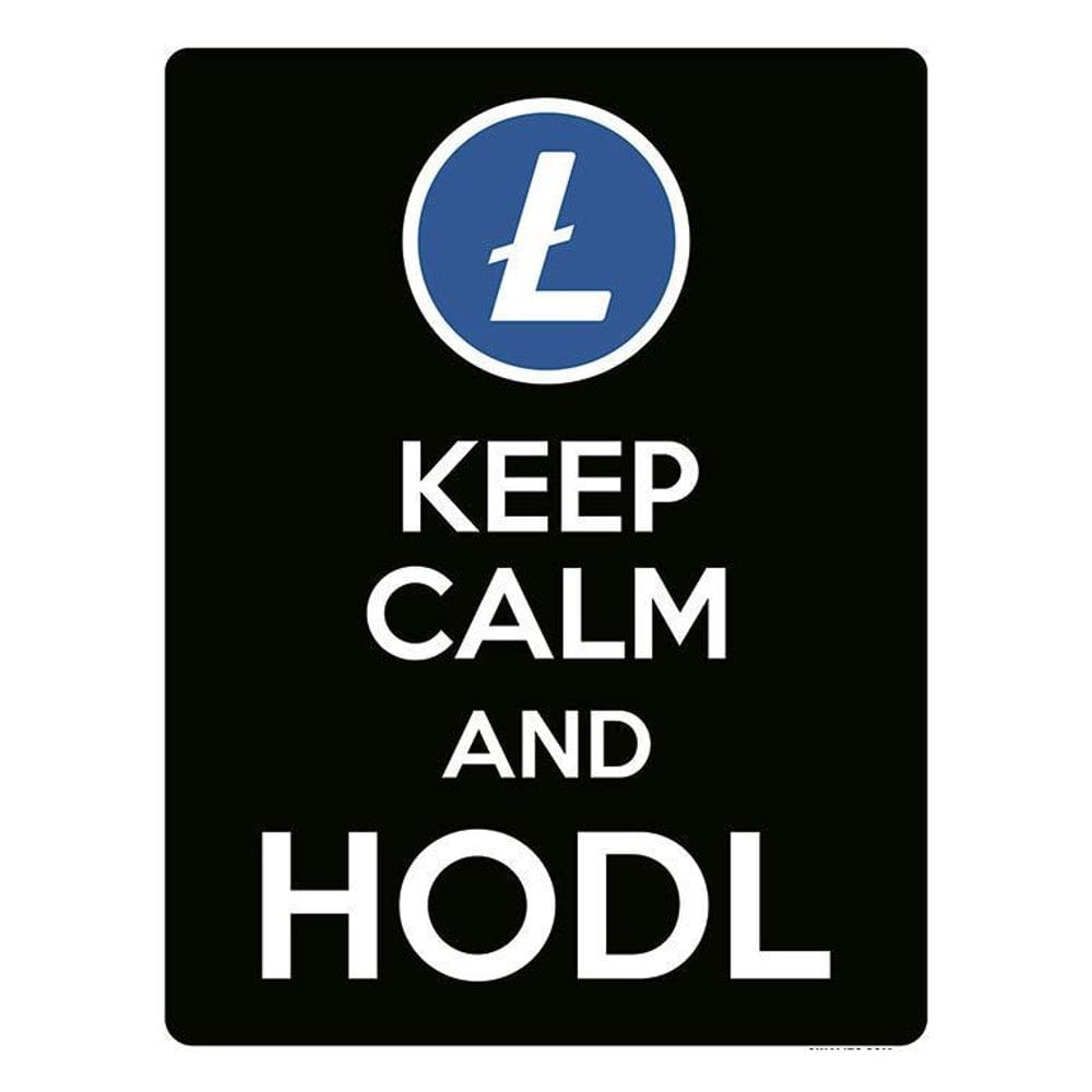 Placa Decoraçao - Keep Calm Hodl Hold Litecoin Ltc 36X46