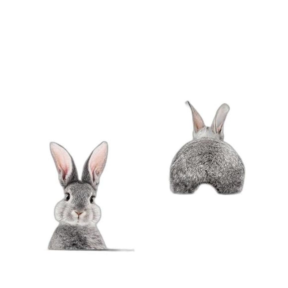 Kit 2 Quadros Coelhinho Frente E Verso 45X34Cm Moldura Preta