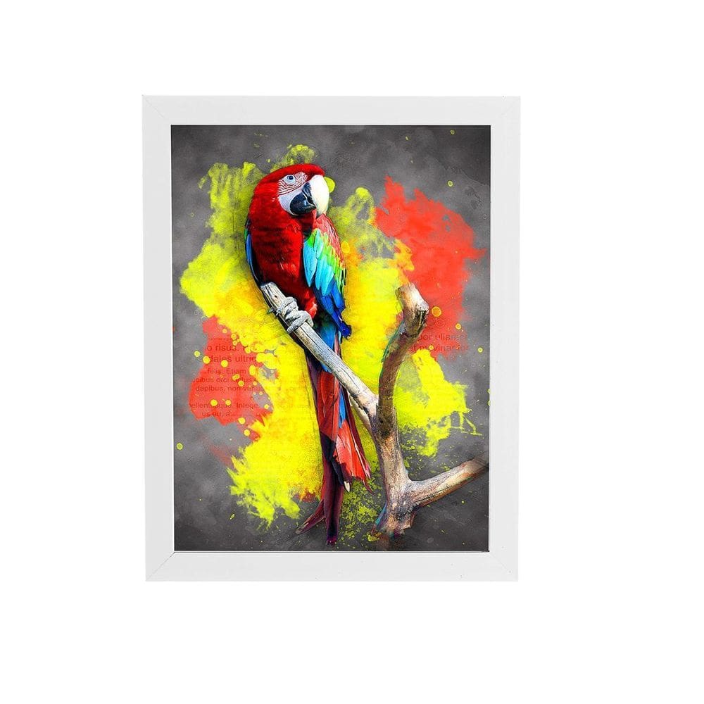 Papagaio Animais Foto Arte Quadro Moldura Branca 60X40Cm
