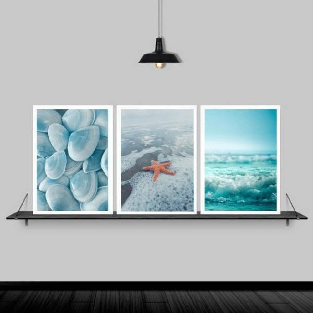 Kit 3 Quadros Praia Estrela do Mar 45x34cm - Moldura Preta