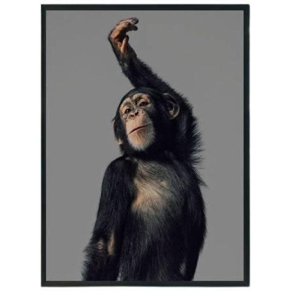 Quadro Decorativo Macaco Performance Moldura Preta 24X18Cm