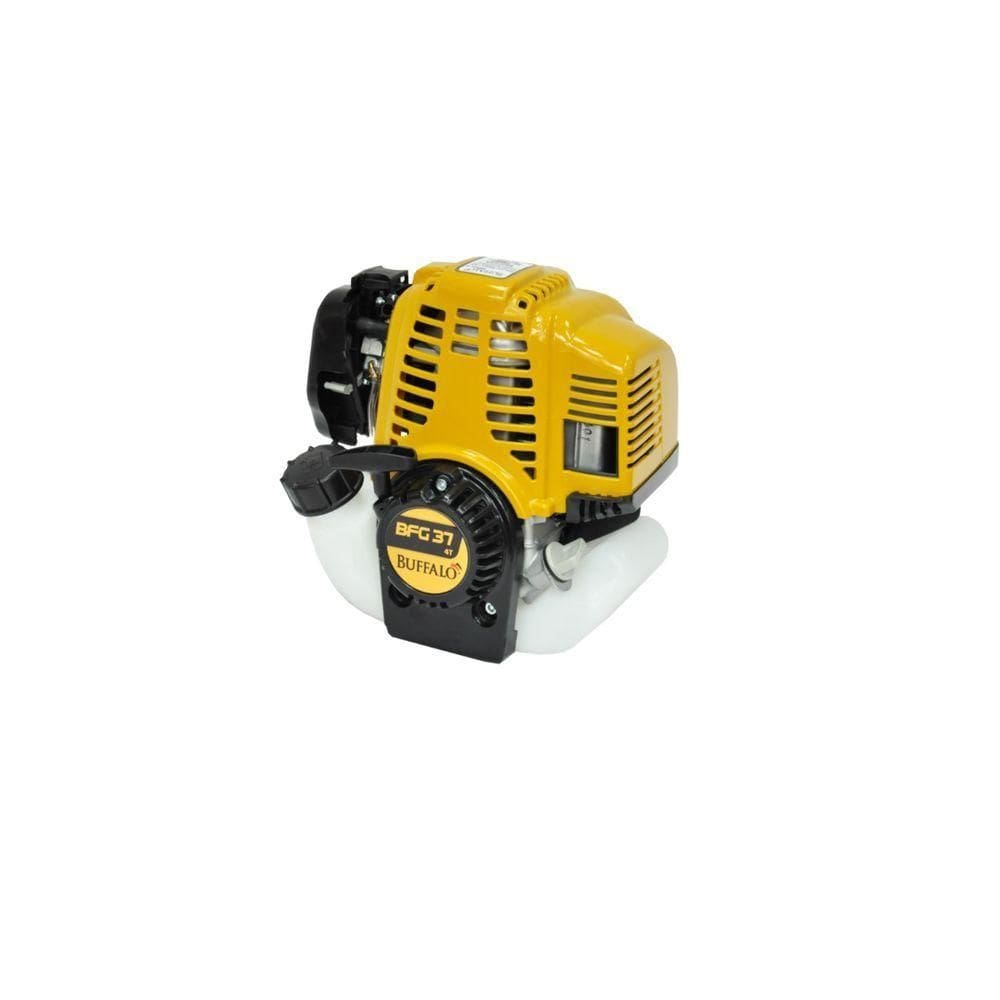Motor Bfg 4 T Gasolina 1,4 Cv Buffalo 60205