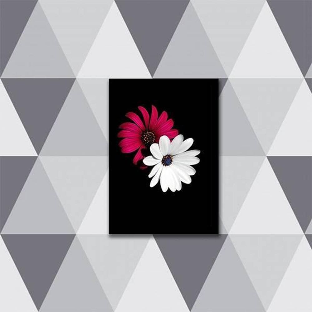 Quadro Fotografia Margarida Vermelha E Branca 45X34 Preta