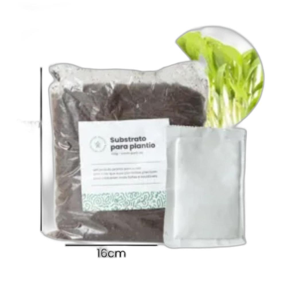 Kit Plantio Microverde Coentro Maya