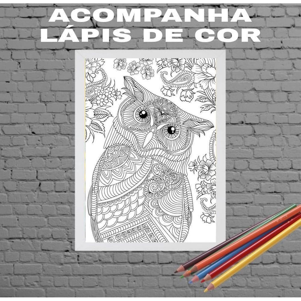 Quadro Decorativo Para Colorir Coruja Moldura Branca 24X18Cm