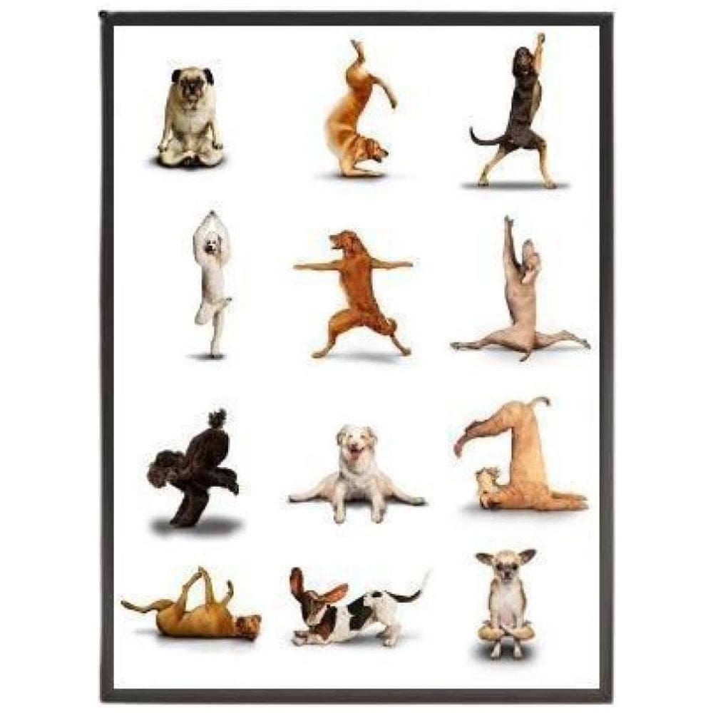 Quadro Decorativo Yoga Dogs 33X24Cm - Madeira Preta