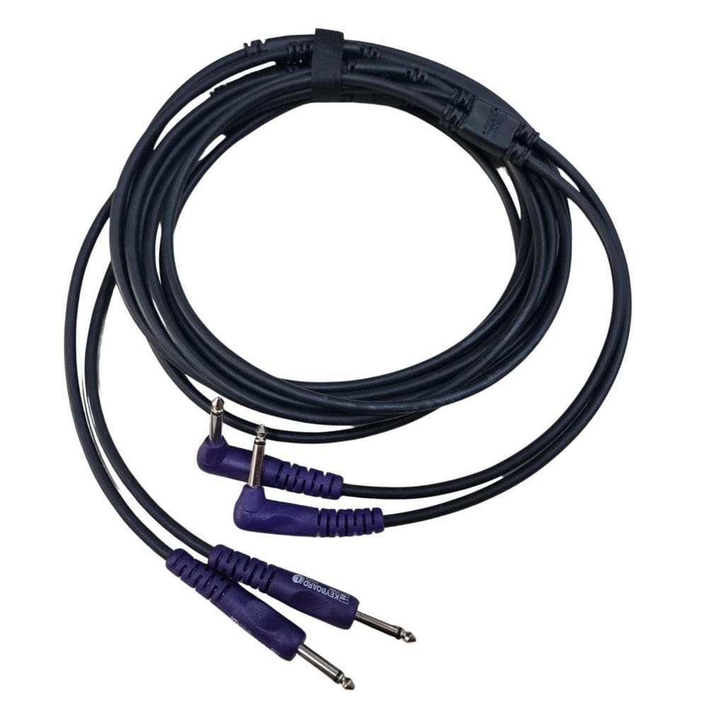 Cabo Instrumento Teclado 3.05m Roxo - P10 x P10 90º Keyboard Series