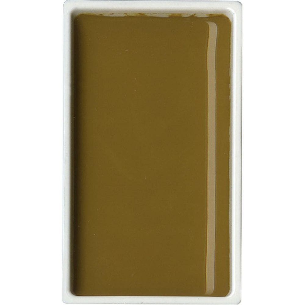 Aquarela Gansai Tambi Kuretake Yellow Brown 49