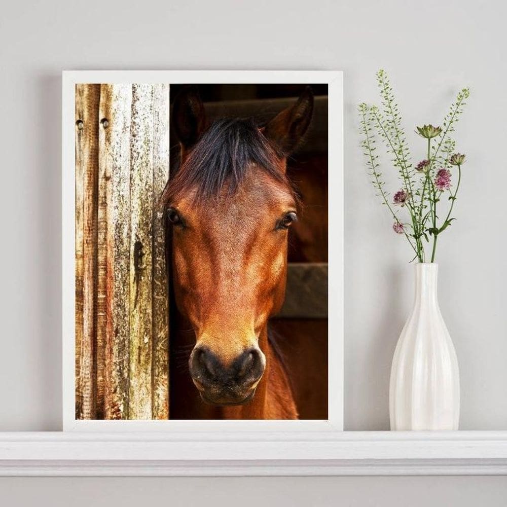 Quadro Decorativo Fotografia Cavalo Na Baia 33X24Cm - Vidro